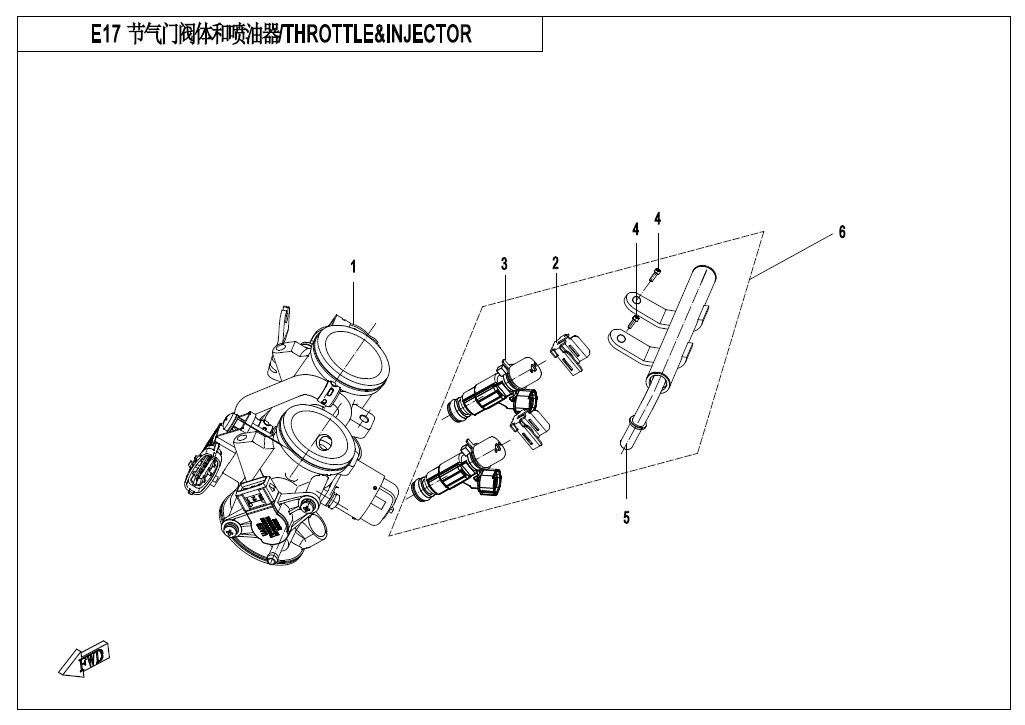 pLaIc57pto_E17 (2).jpg